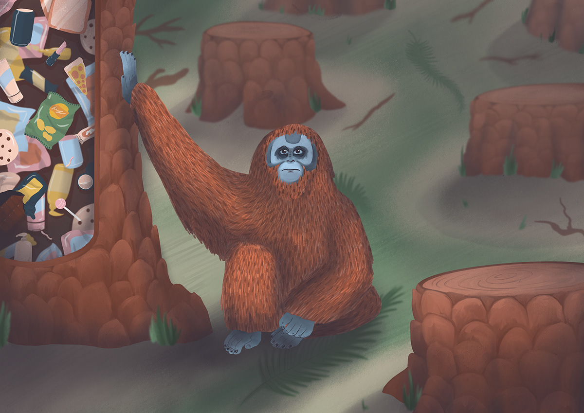 digital illustration editorial editorial design  Editorial Illustration environmental ILLUSTRATION  orangutan Orangutan Palm Oil Palm Oil Procreate