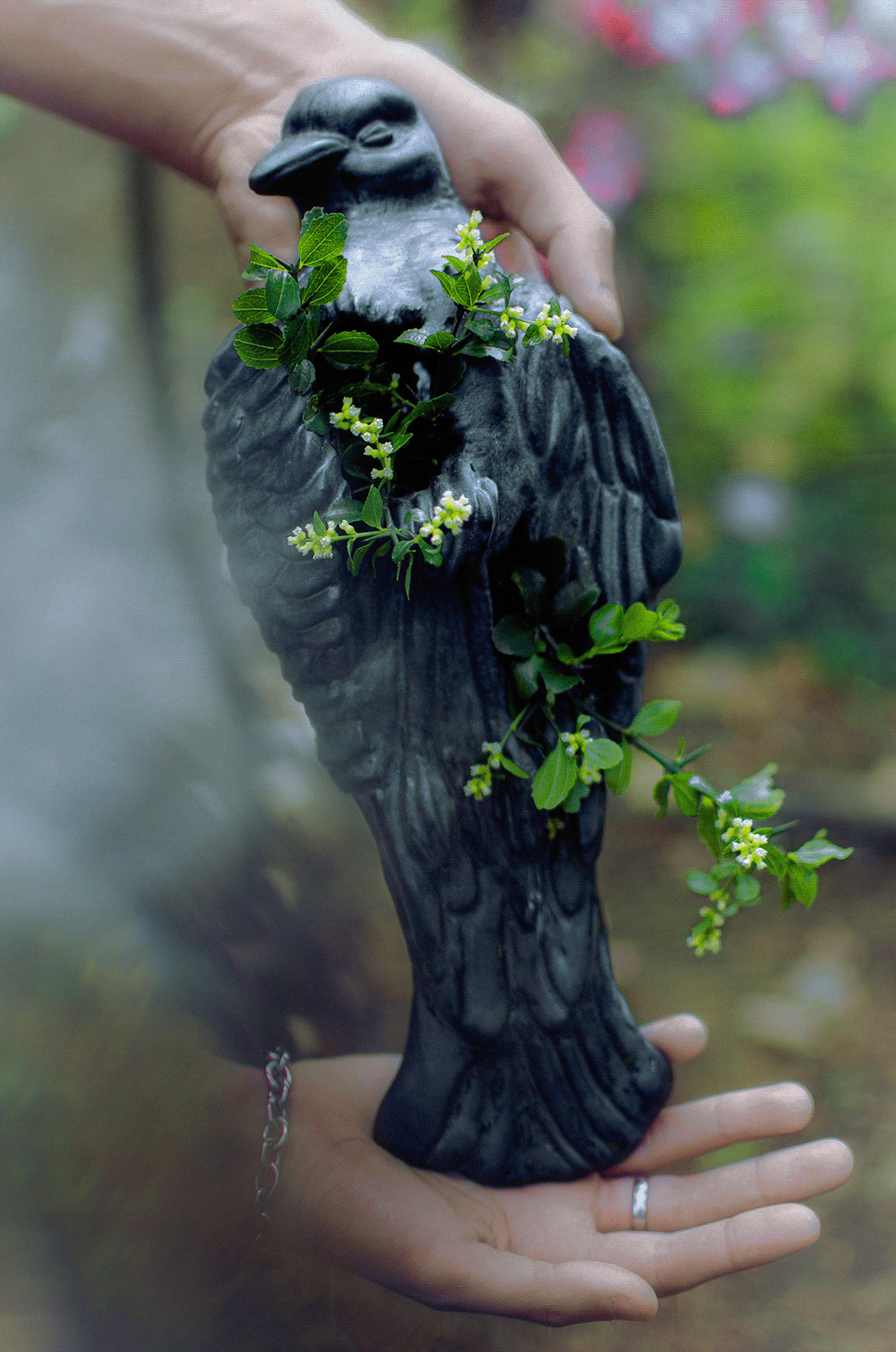 biophilia ceramic studio Photography  ceramics  bird forest Nature ethereal dreamy