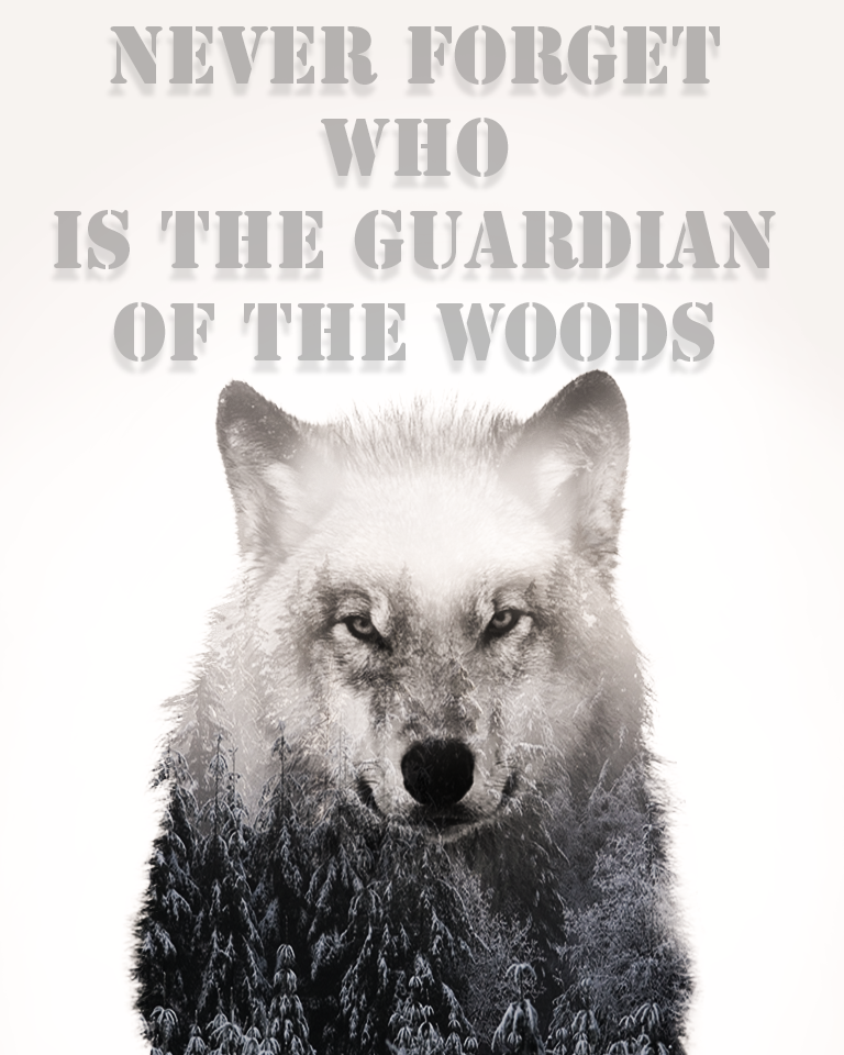 wolf guardian woods