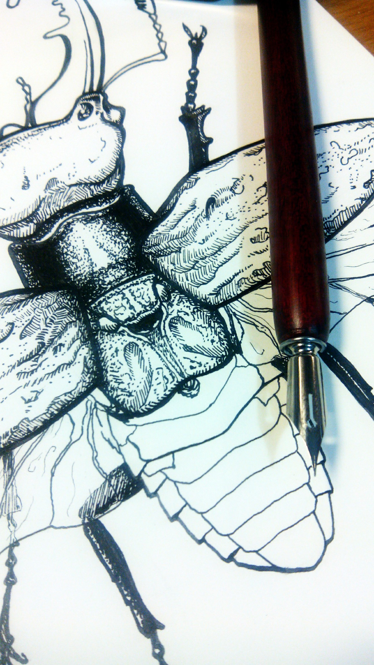 scketch beetle ink pen