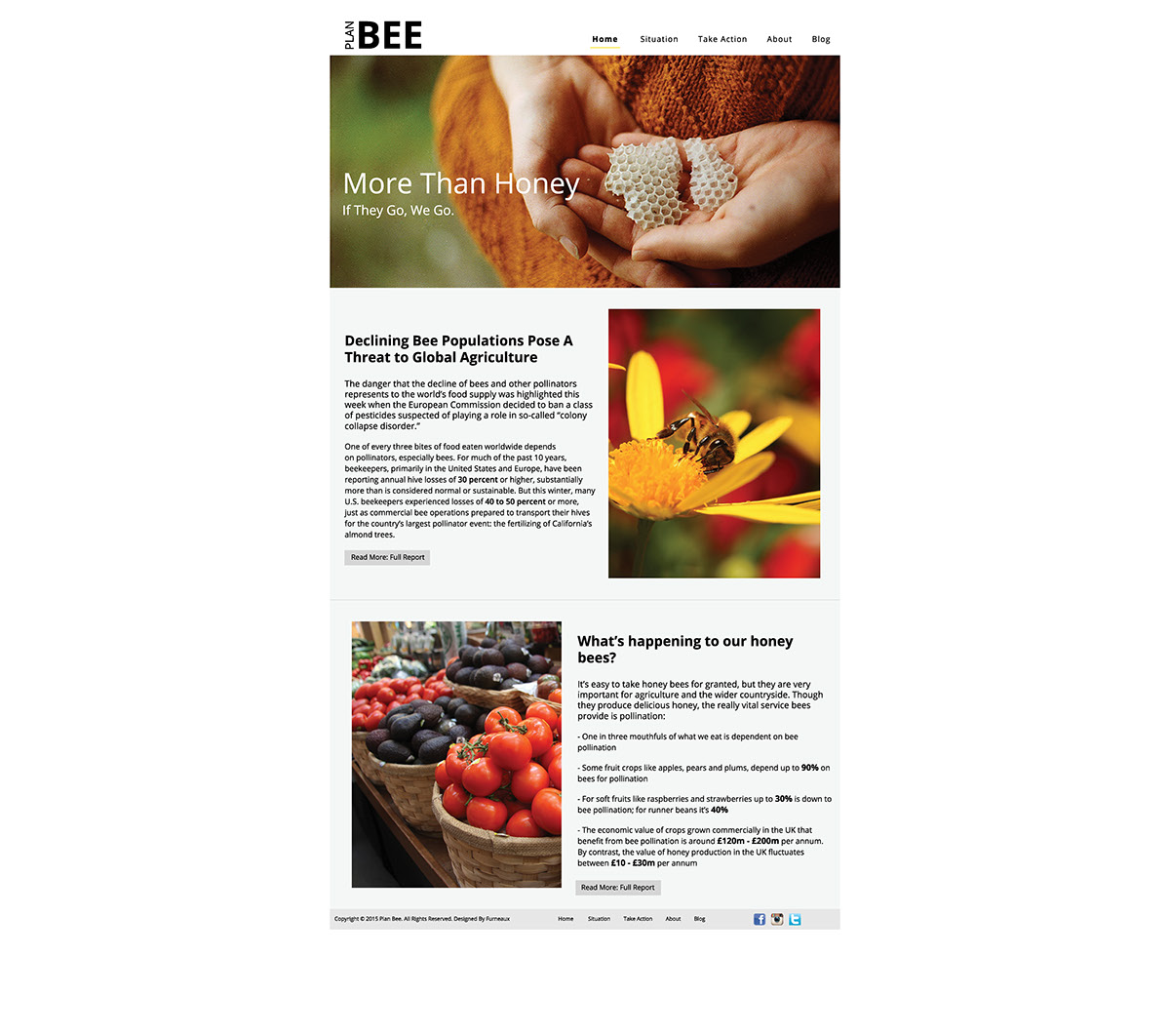 eco design eco friendly bee publication Website eco save the bees plan bee
