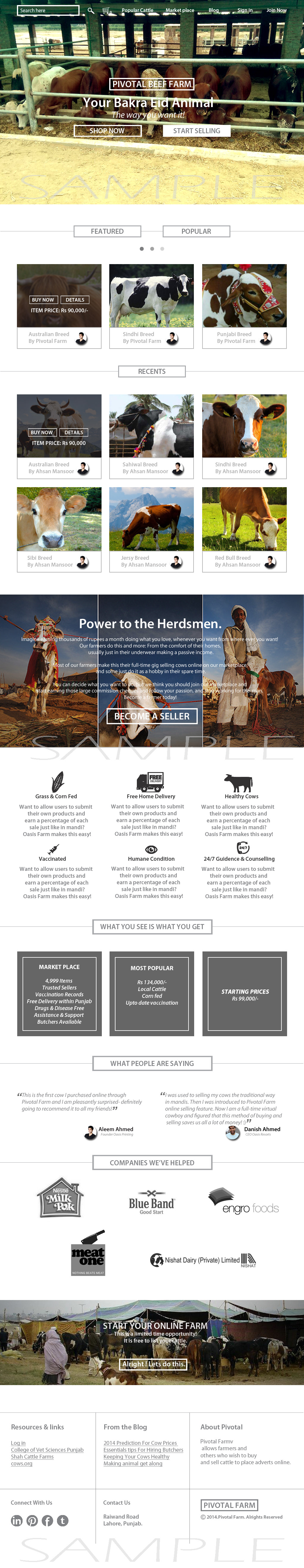 farms beef web page idea