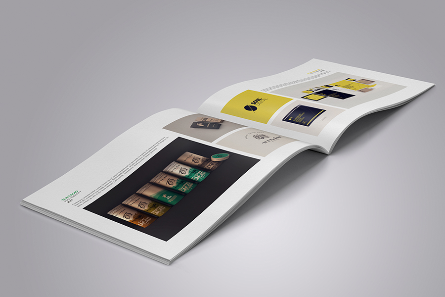 297x210 a4 agency book Booklet brochure clean creative customizable design designer elegant showcase portfolio minimal