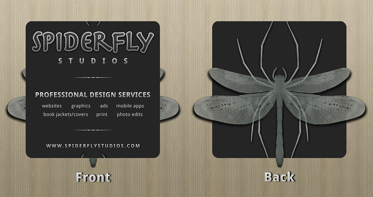 spiderfly  studios business  card concept studios card