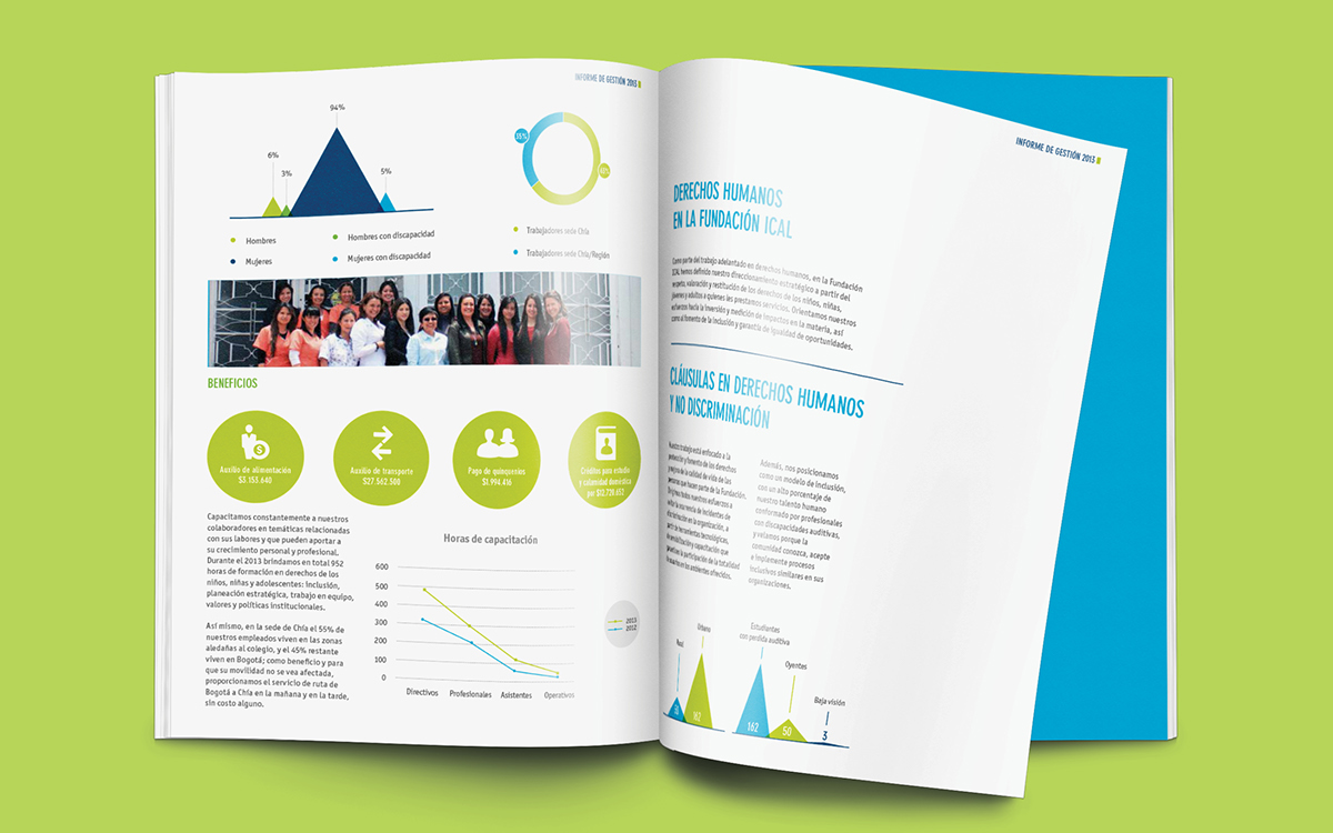 annual report Diseño editorial editorial design book report