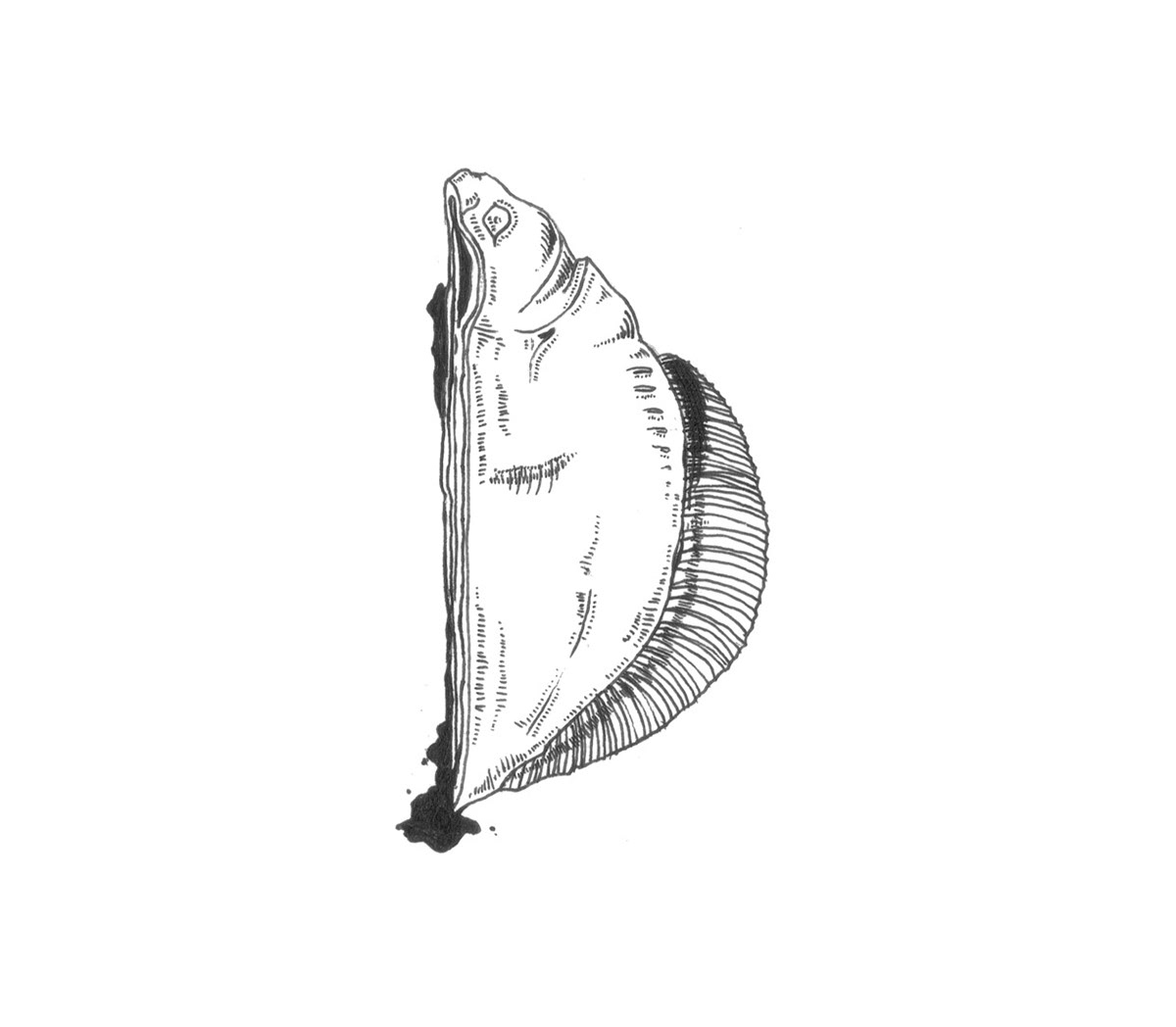 alphabet fish dead pen black and white
