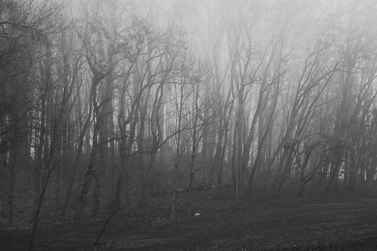 black and white fog Fog landscape lietuva lithuania Mindaugas Buivydas minimal Minimalism mist