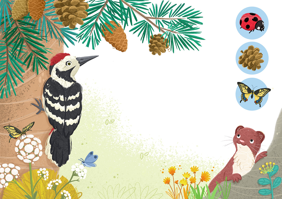 forest animals bird woodpecker weasel butterfly ladybug Flowers pine pineapples children books children illustrator