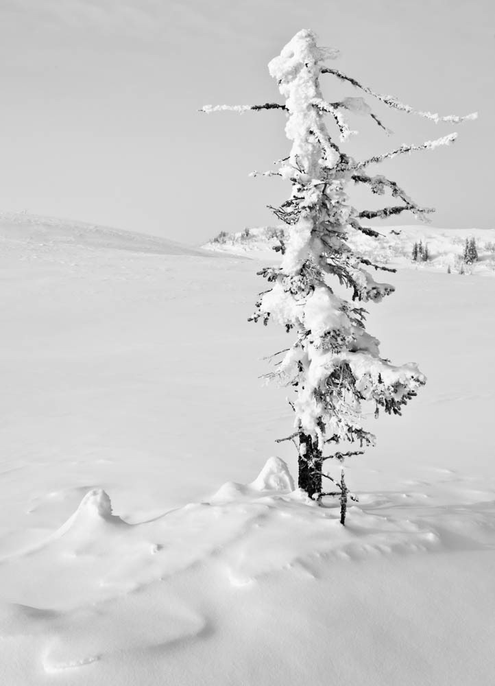 snow Leica Landscape B/W photography fine art