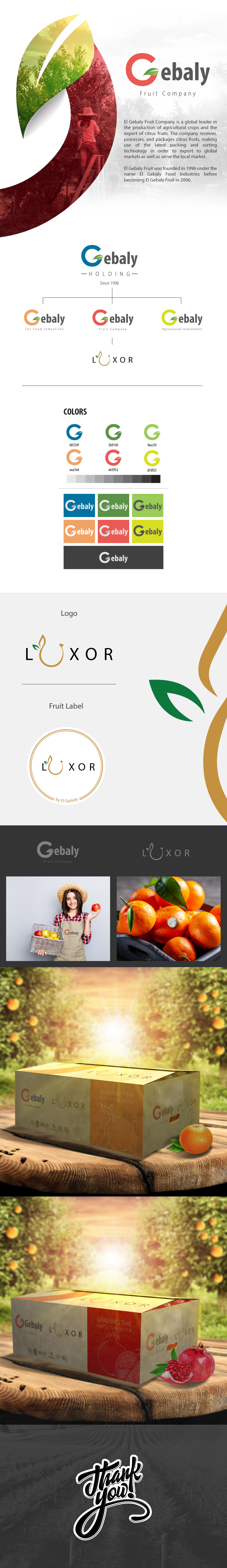 Agricultural branding  egypt farm Fruit Industries logo luxor orange Packaging