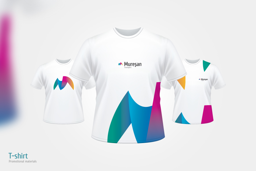 branding  design colors Transport  company stanciu alex  web design  identity  logo Smart  Idea  multicolor
