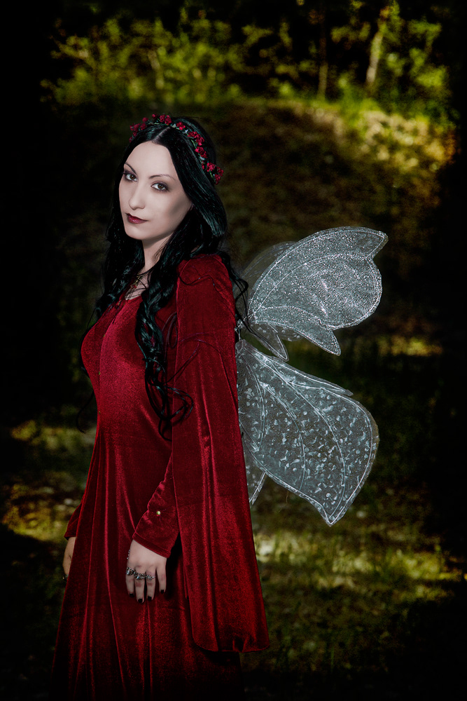 fairytale costume fairy Fairies fantasy moth