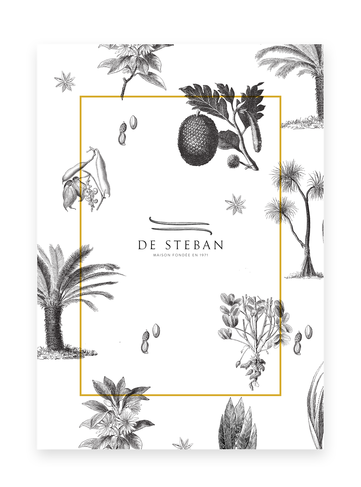 delicatessen spice design vanilla engraving stamp exotic Plant Fruit herbs