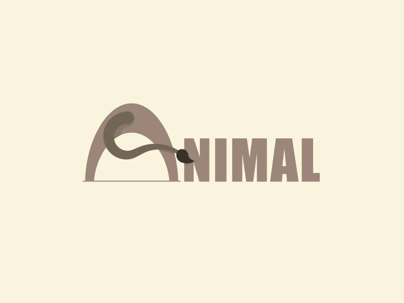 BirdLogo animallogo brand branding  logo identity design creativelogo wordmark typography  