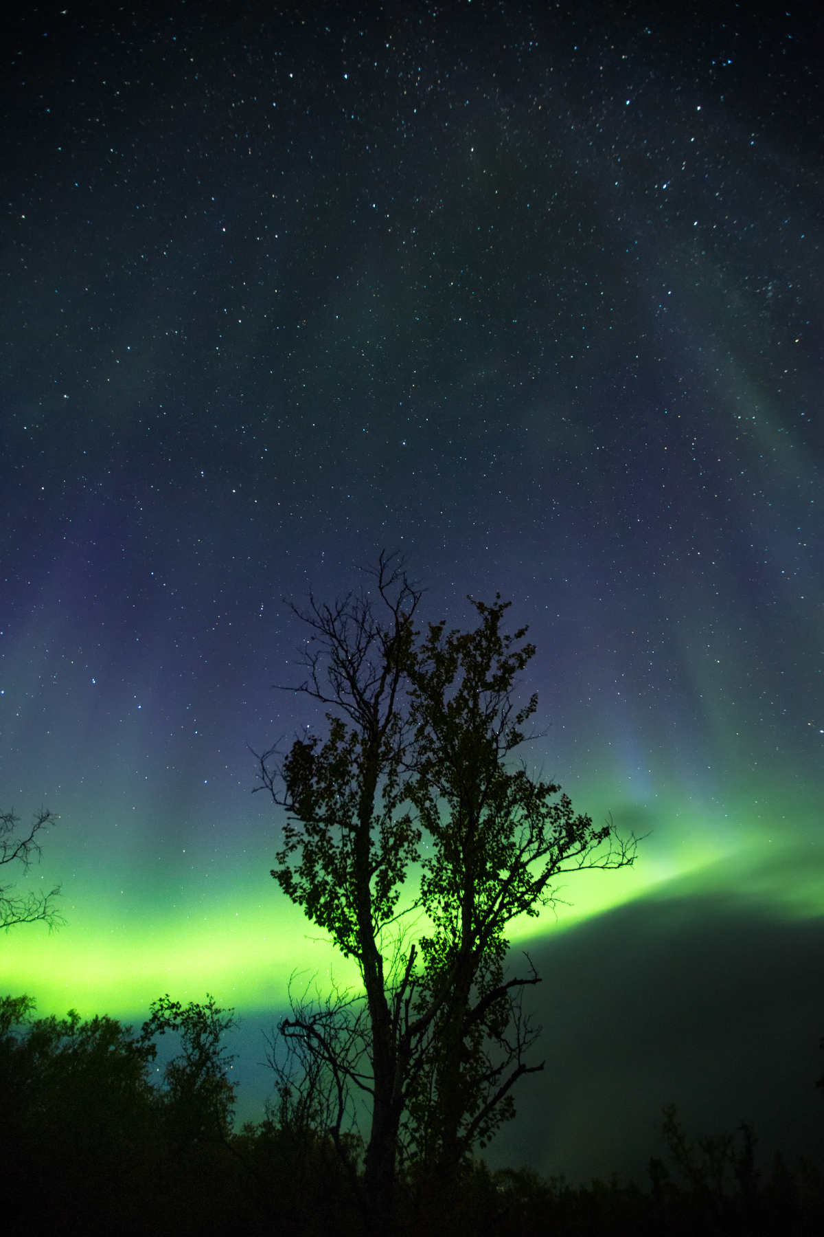 Landscape Nature Northern Lights Sweden Abisko