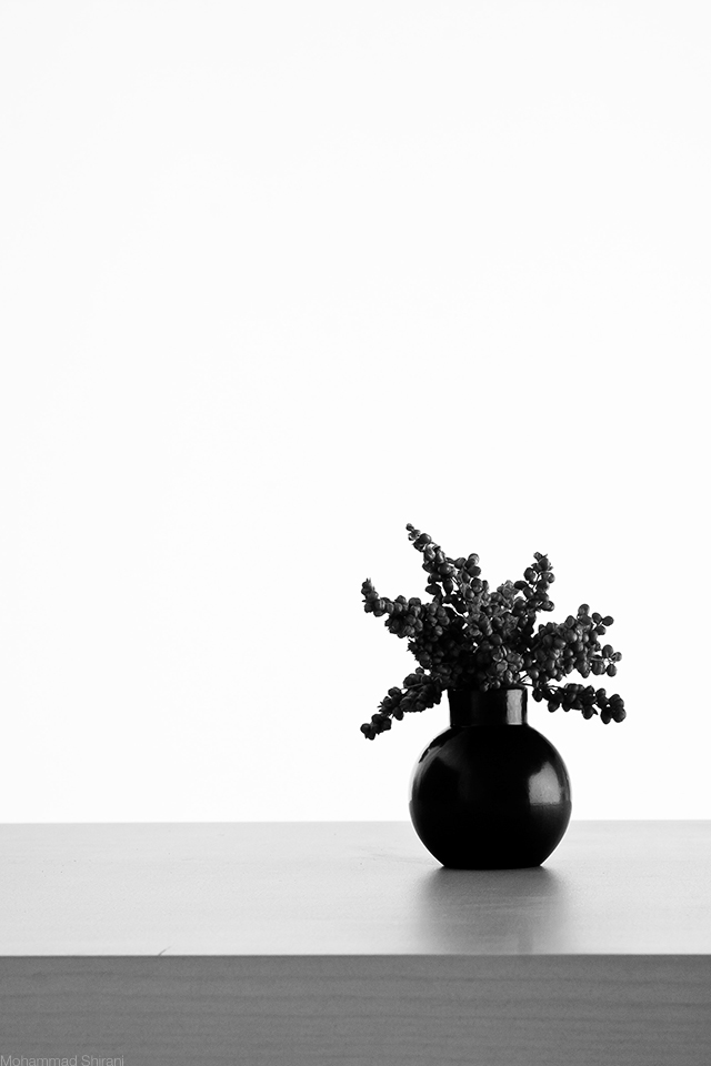 still life black White black and white color Vase flower dead dark studio