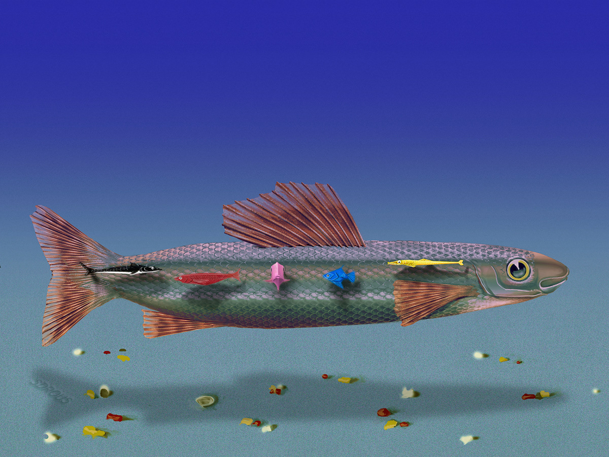 fish digital illustration artwork Pescadores Pesca pescado mar arqueologia marítima ecologia marítima Fishers Fundo do mar Maritimo oceanografia oceanógrafos