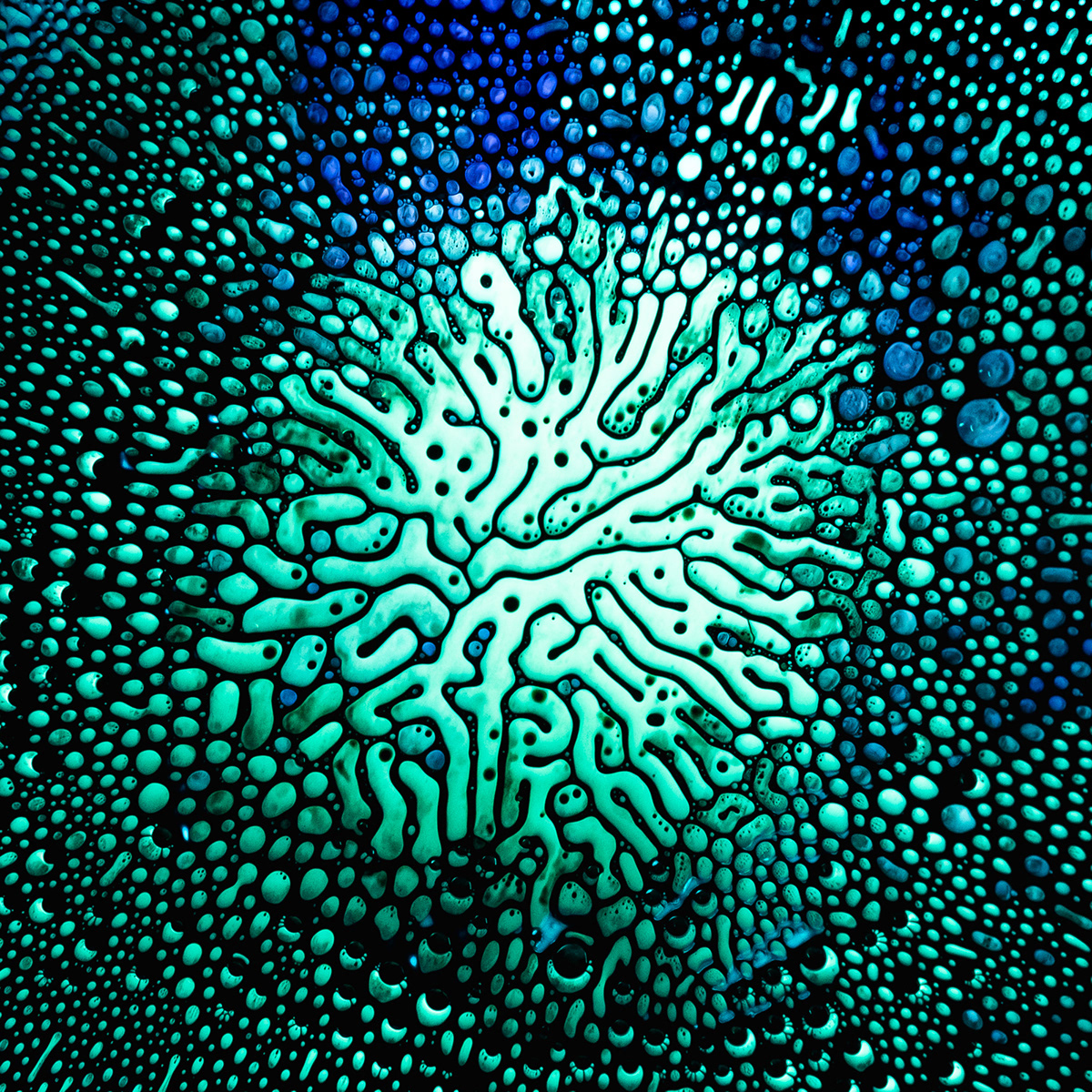 abstract art ferrofluid gif macro micro seattle Sony video