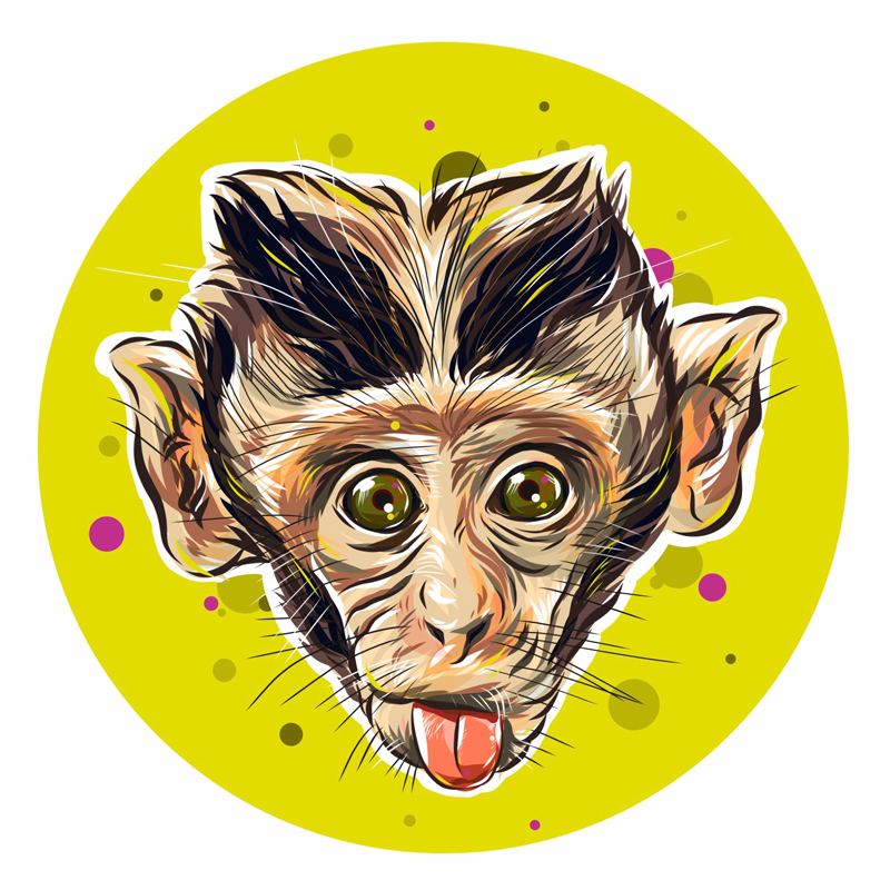 monkey adobedraw ipadpro applepencil vectorart