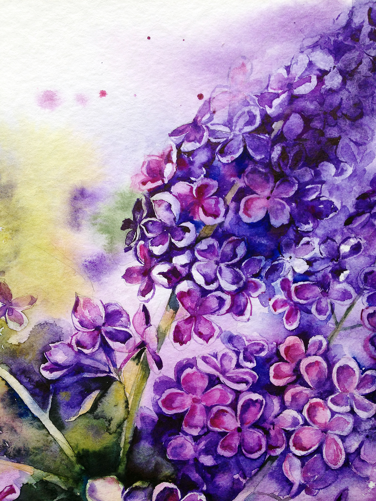 lilac blossome watercolor watercolour Flowers purple violet spring inspiration