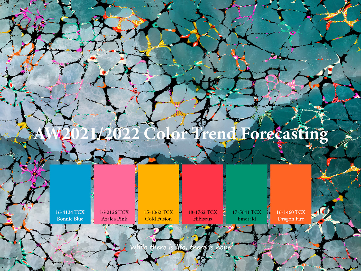 AW2022 2022  Trend forecasting on Pantone  Canvas Gallery