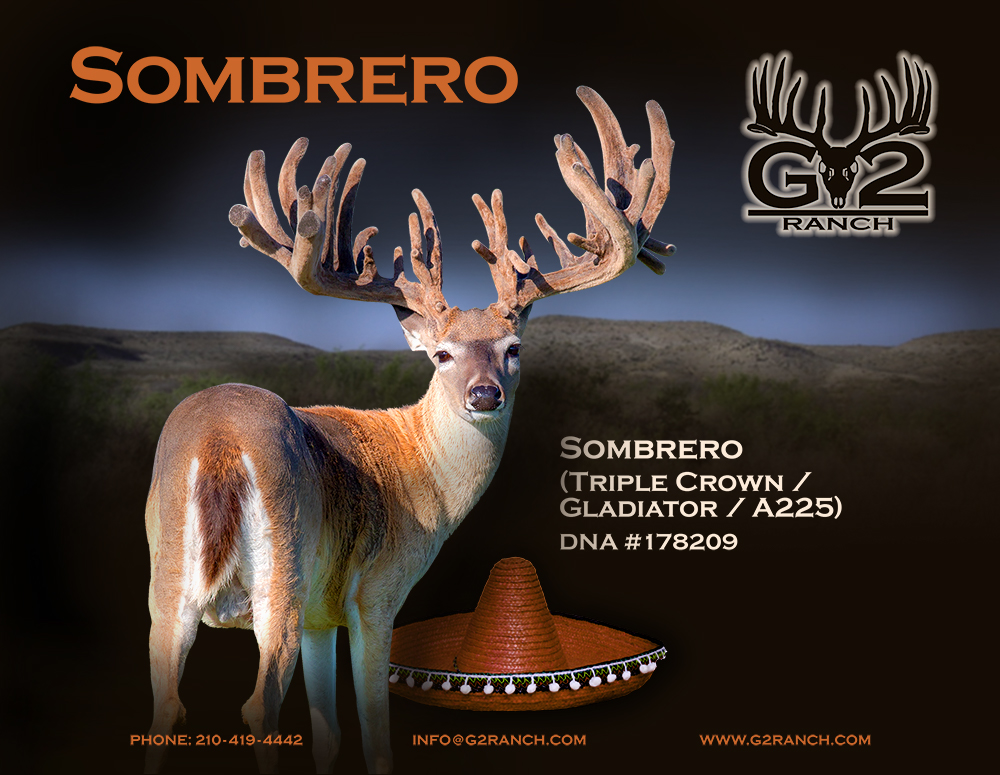 TDA deer calendar casino sombrero patronus forest