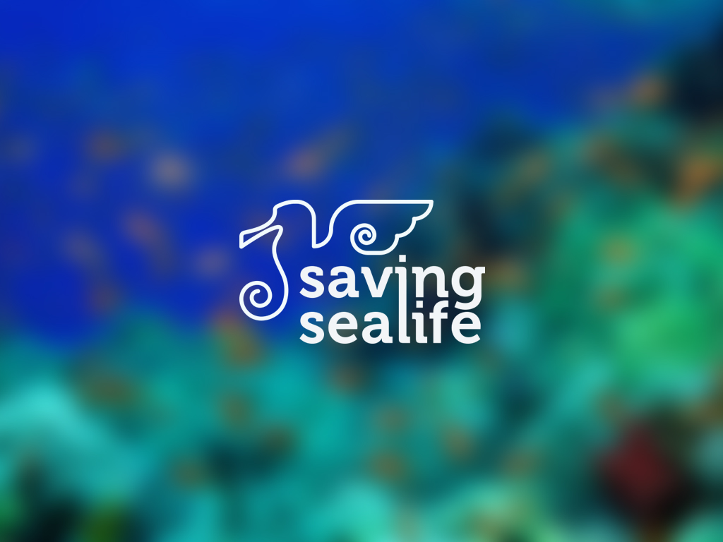video progress orgnization protection saving sealife Ocean marine seagull seahorse preservation Nature Coast non-profit symbol