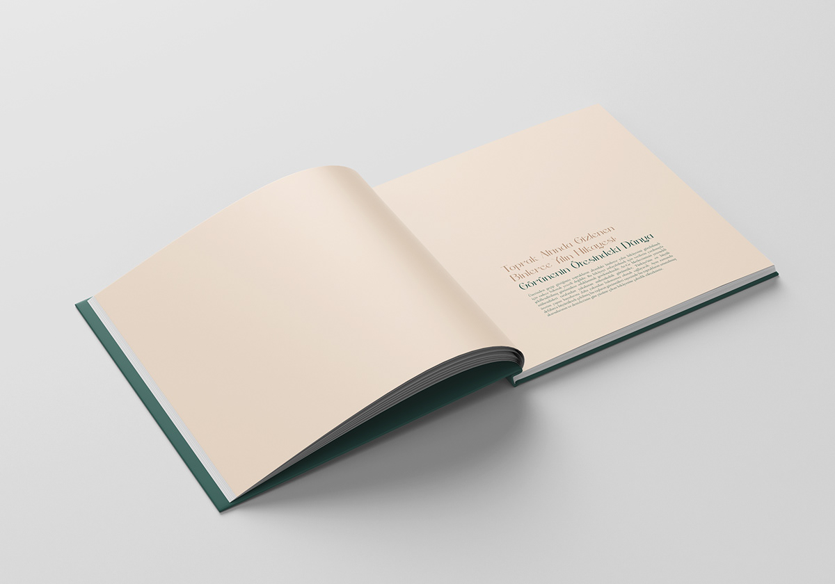 design annual report InDesign magazine book design Energy Company