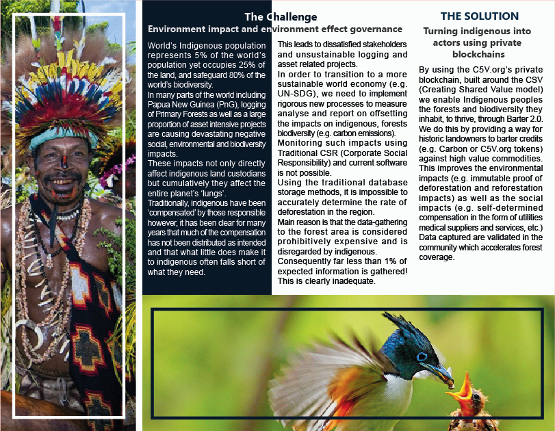 brochure brochure design Tropical Papua gate fold design Adobe Photoshop typography   Layout