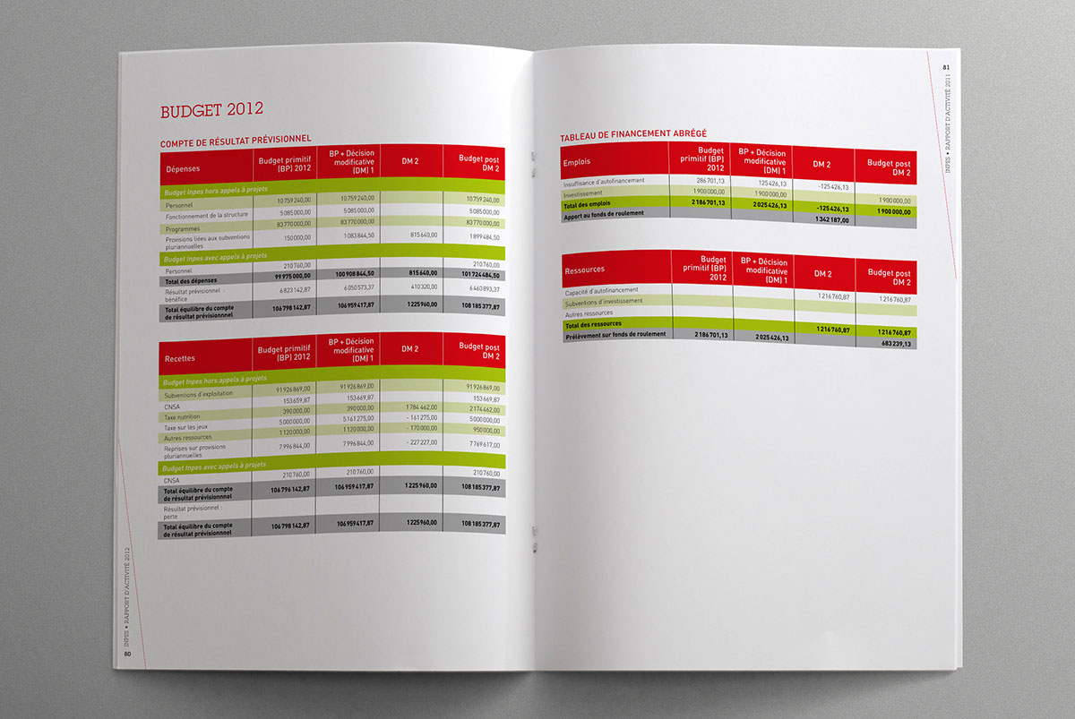 flipbook pdf intéractif INPES rapport annuel InDesign photoshop