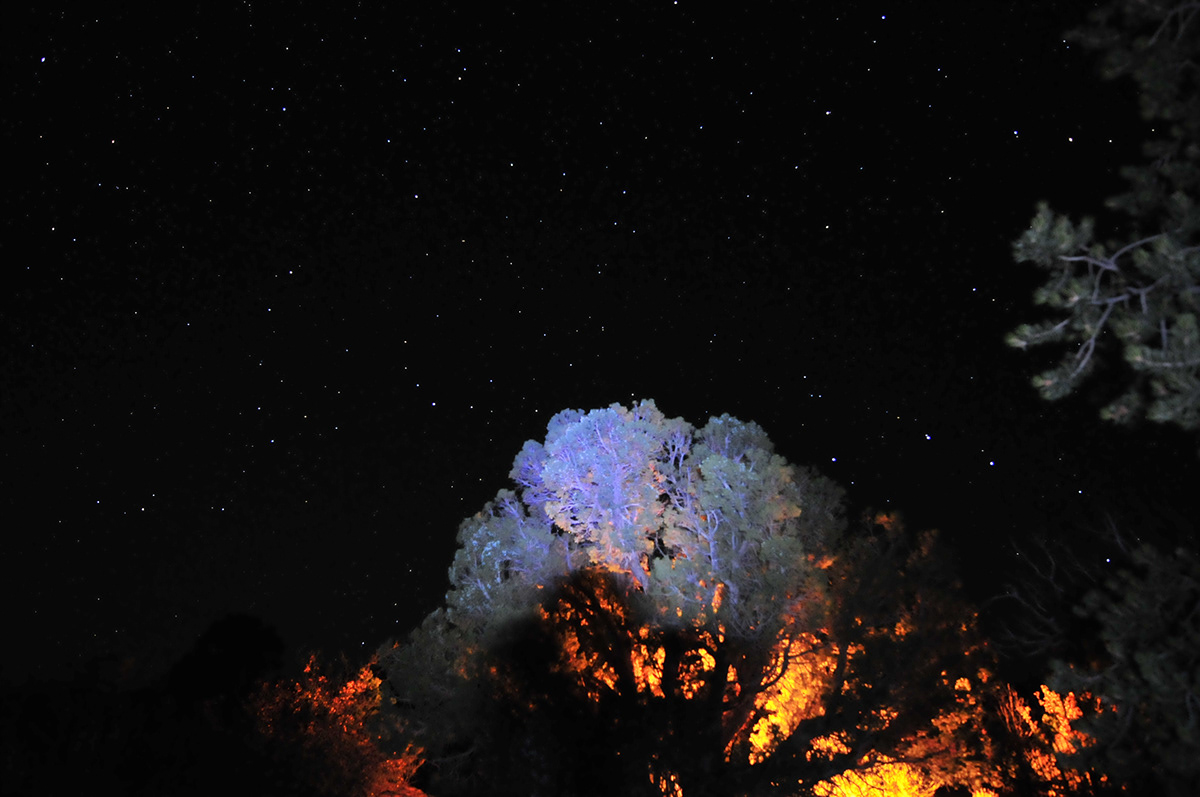 Time Lapse night sky stars fire light canyonlands utah nocturne falling stars slideshow
