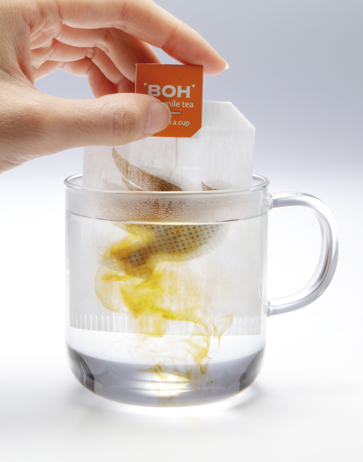 calm tea bags Boh innovation chamomile