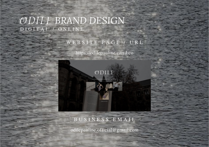 Advertising  brand identity design designer Fashion  marketing  