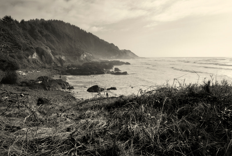 Oregon Coast Ocean sepia rocks beach sea evergreen pacific west coast beachscapes landscapes