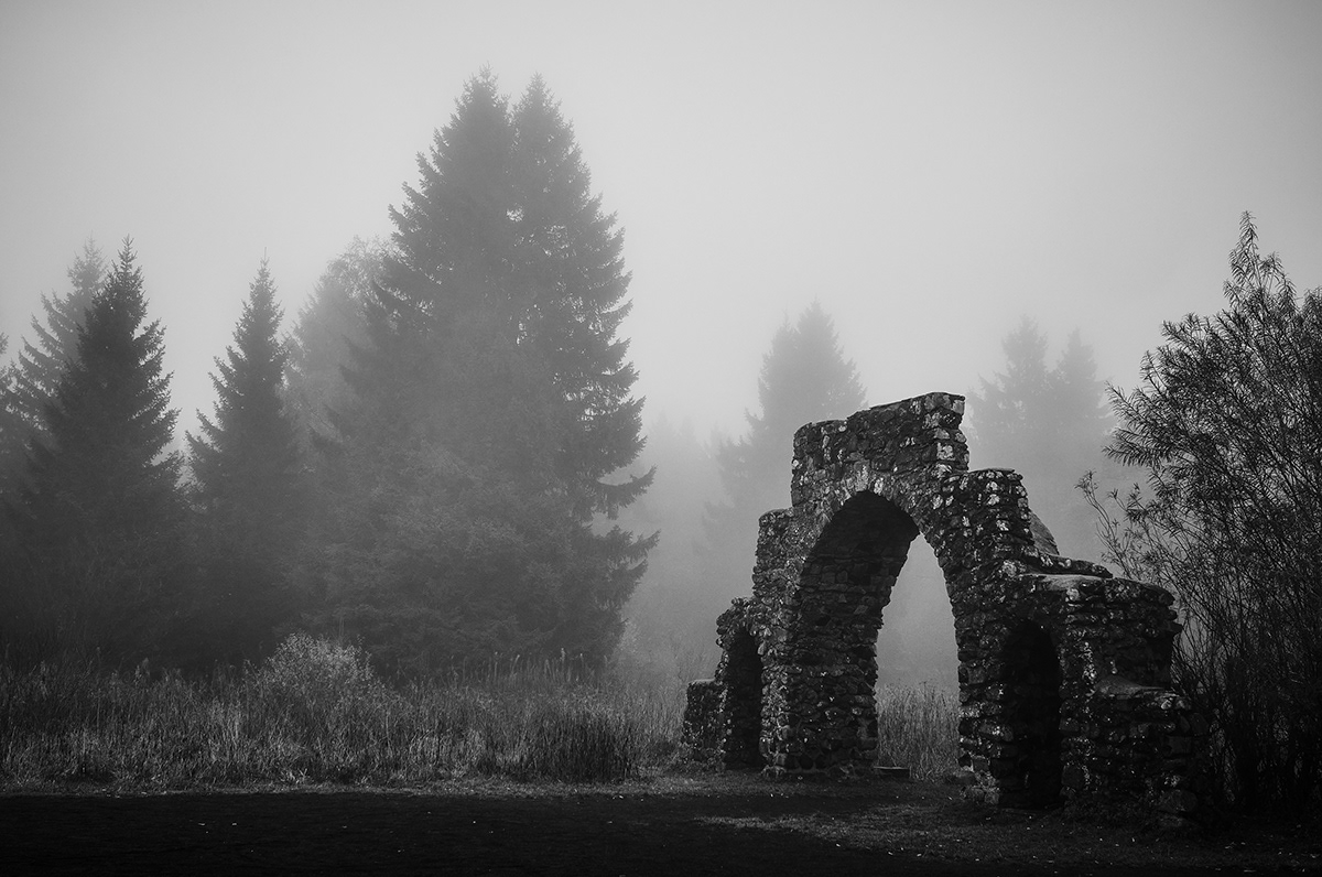 black and white fog forest landscape photography mist Nature photo book Photography  Photozine silence