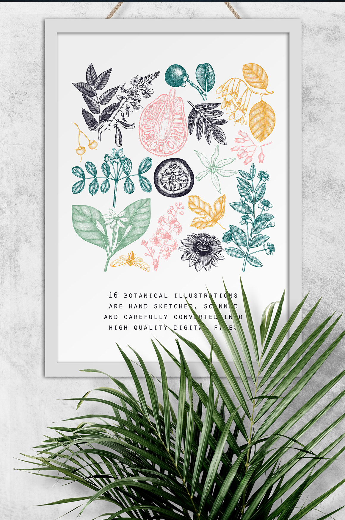 exotic floral hi res invite logo Nature spring summer vector wrapping