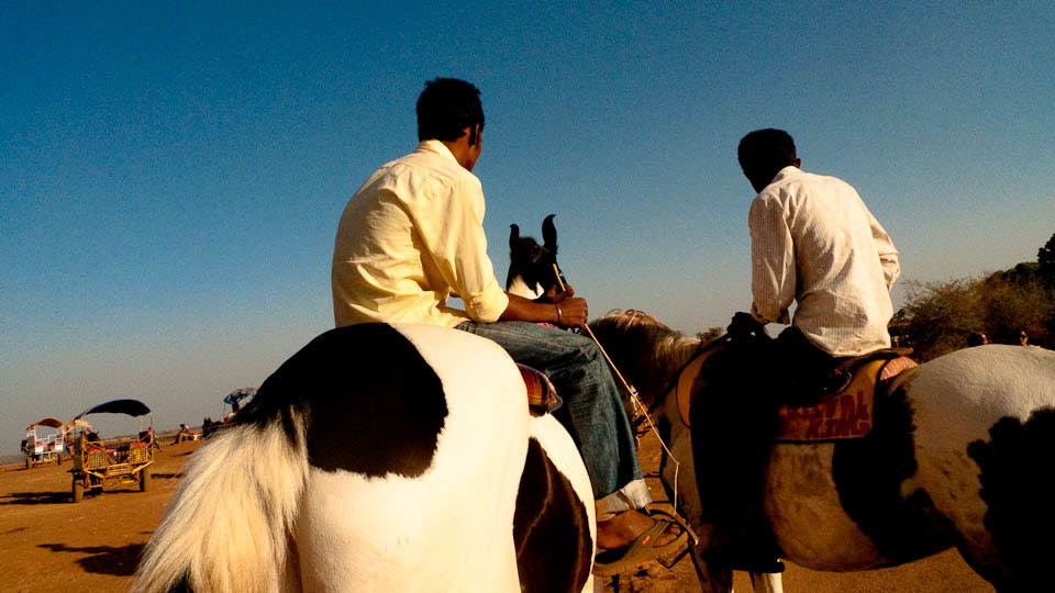 India photo documentary horses MS Gopal