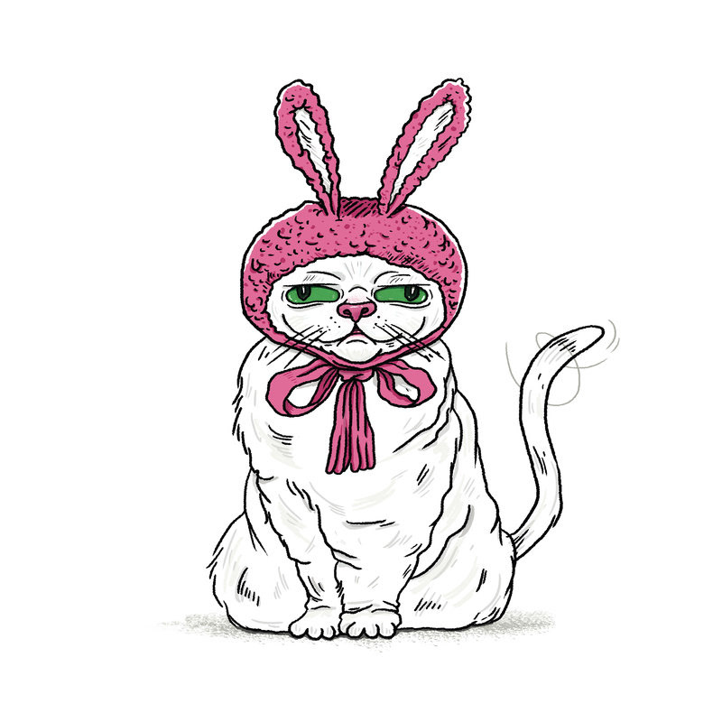 Character design  ILLUSTRATION  Cat bunny