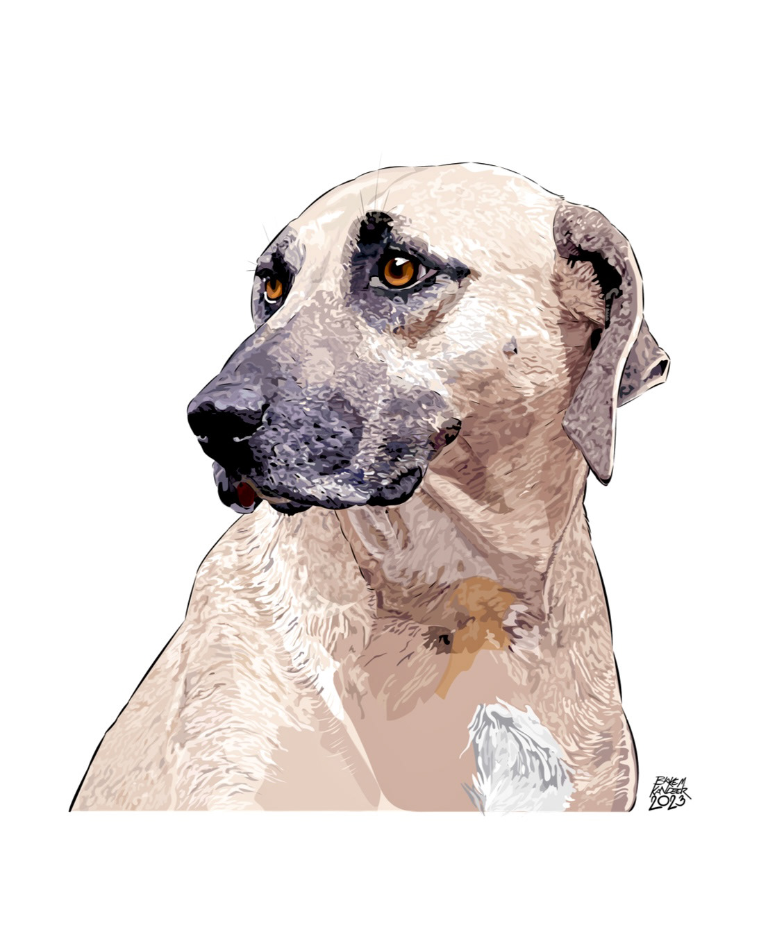 Pet Pet Portrait painting   portrait