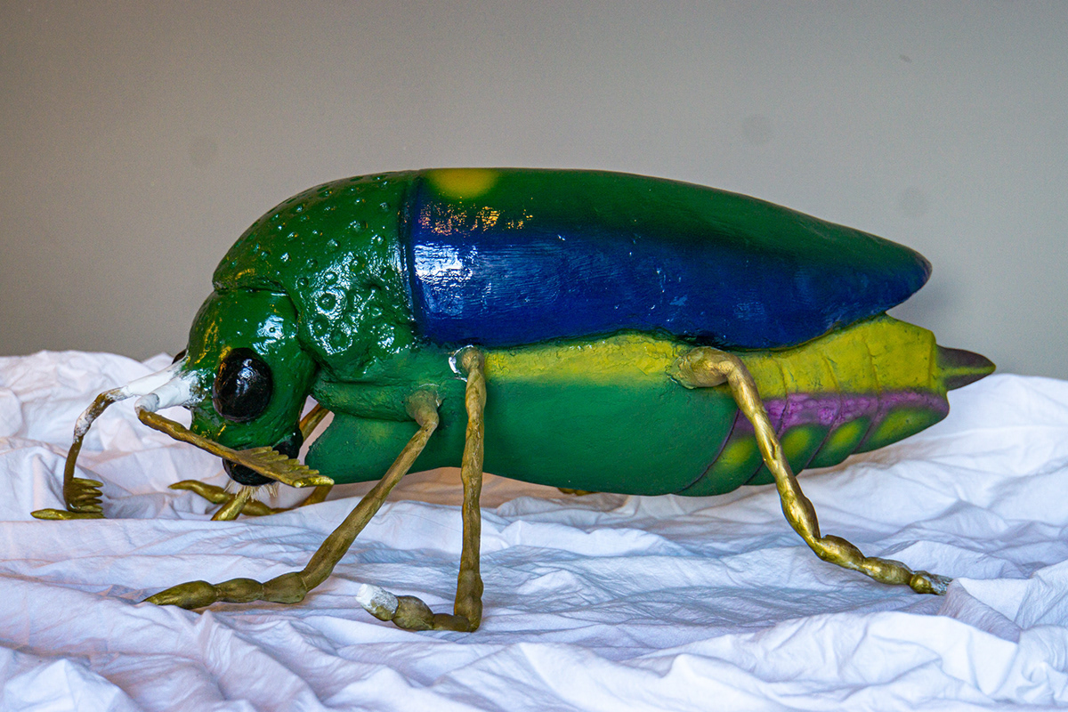 airbrush clay Foam insect Varnish