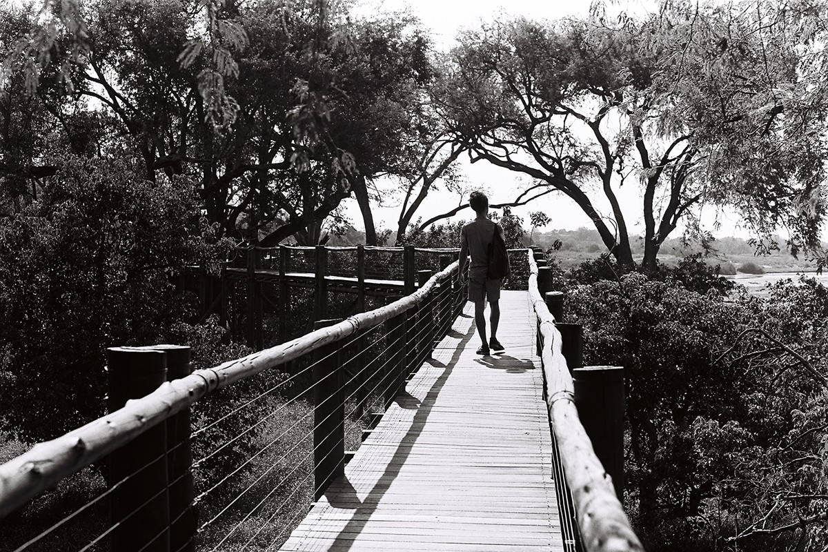 35mm film photography kodak Kentmere ILFORD Zimbabwe south africa travels RoadTrip summer aaaah istillshootfilm