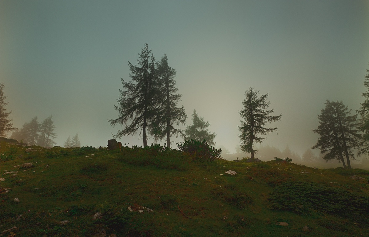 Landscape austria fog wideness atmosphere misty Christian Schmidt ADC AOP applied arts Travel Nature concept art
