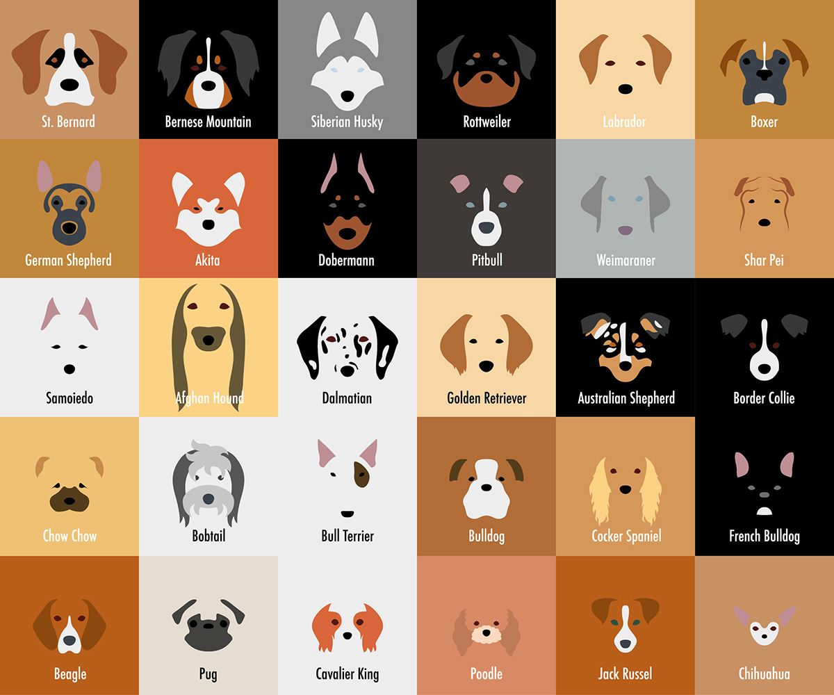 negative Space  flat design eyes Mouth ears nose muzzle dog Breed bone pattern footprint puzzle