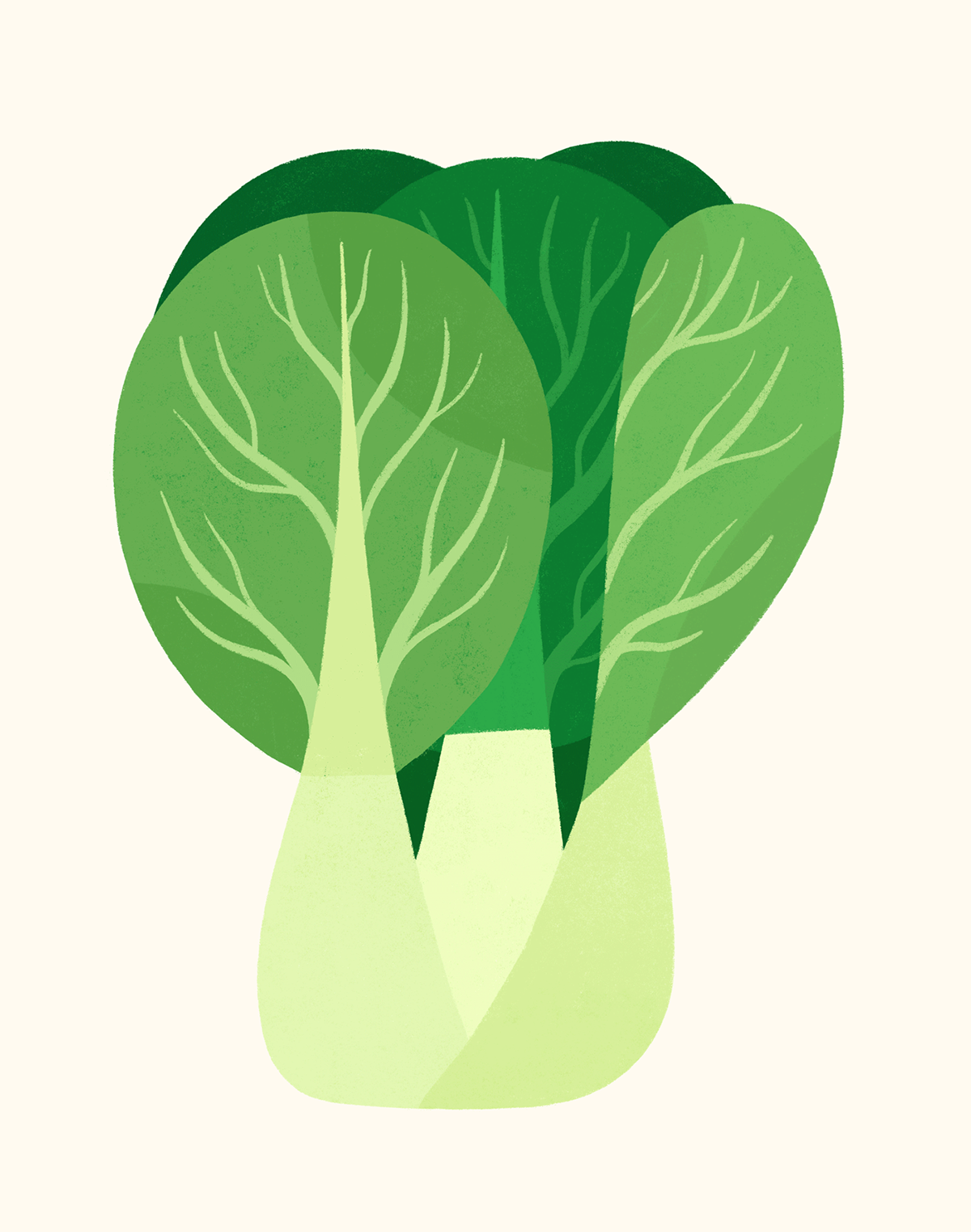 vegetables veggies fresh Greens editorial stylized bok choy butternut squash illustrated food turnip