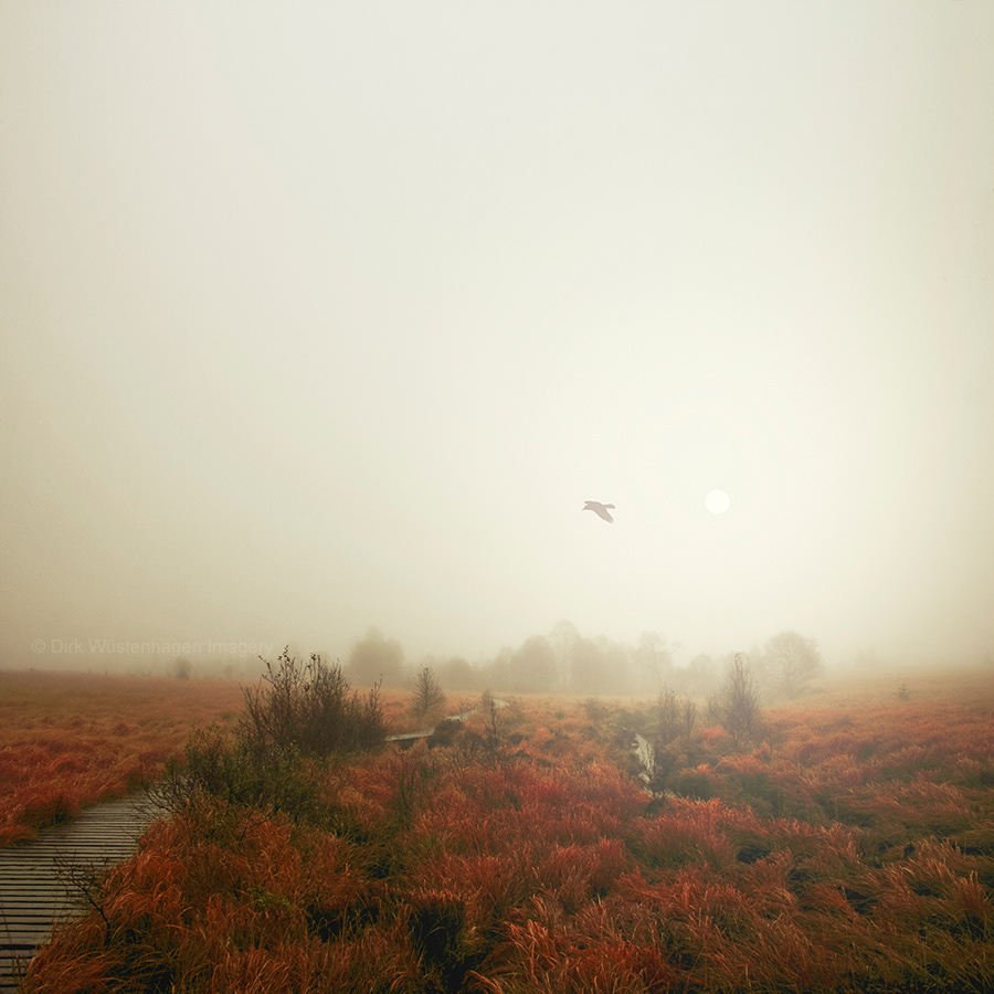 mist fog Landscape mood textures wet
