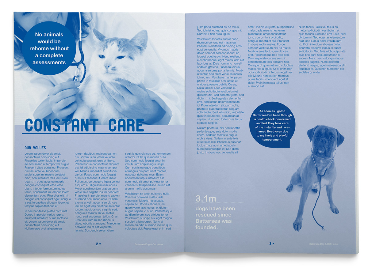 editorial brochure Layout magazine animal brochure battersea dogs and cats