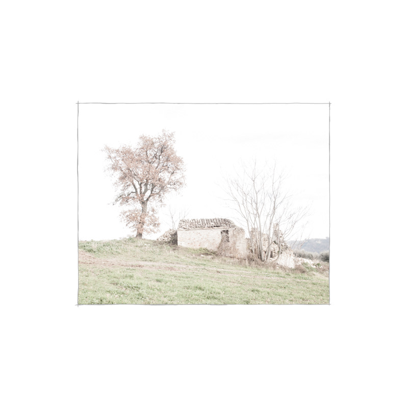 landscapes  memories ruin abruzzo countryside olive Tree 