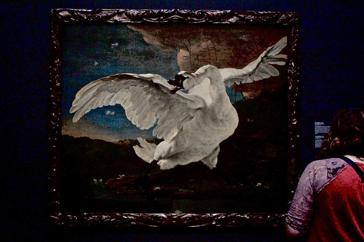Netherlands amsterdam Luso-Brazilian Encounters Rijksmuseum fra angelico rembrandt Thomas de Keyser Ian de Baen beuys Broodthaers
