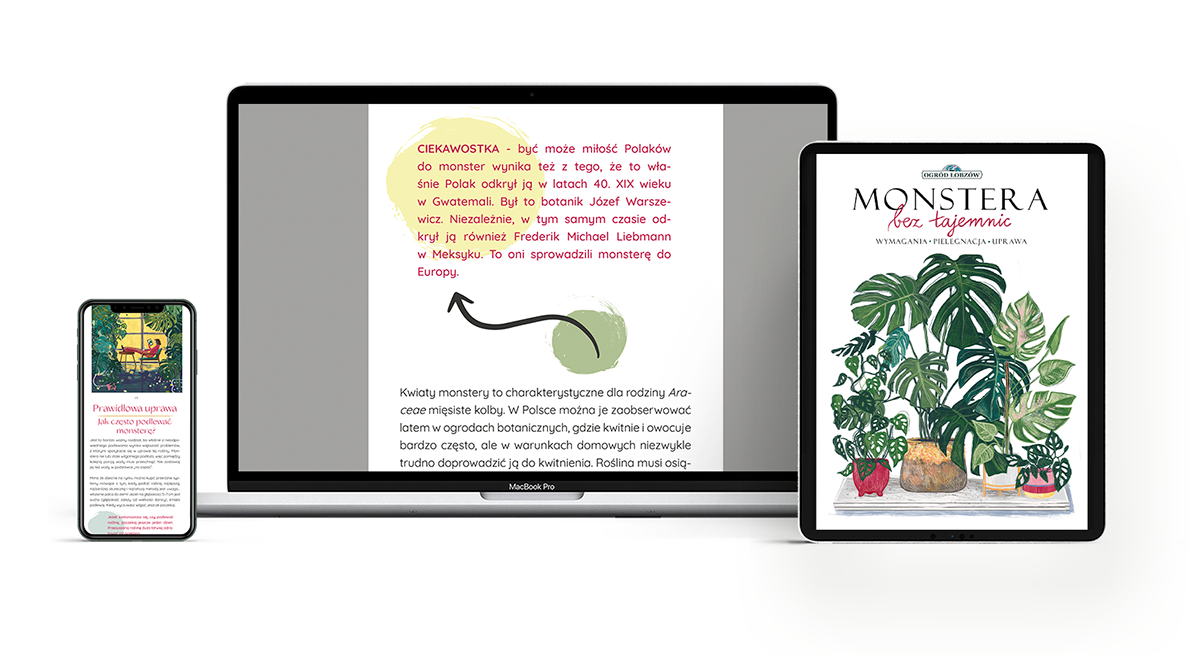 book e-book ebook eBook design editorial graphic design  ebook template ebookdesign