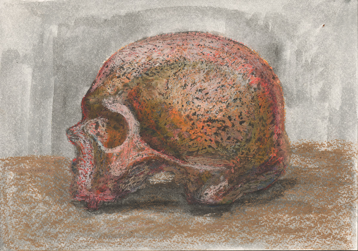 Cranium skull Drawing  death macabre Expressionism totenkopf